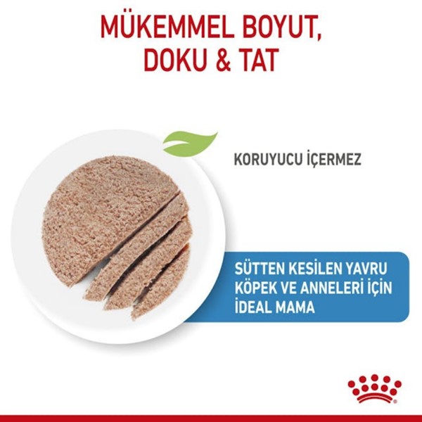 ROYAL CANİN DOG STARTER MOUSSE 195 GR*12